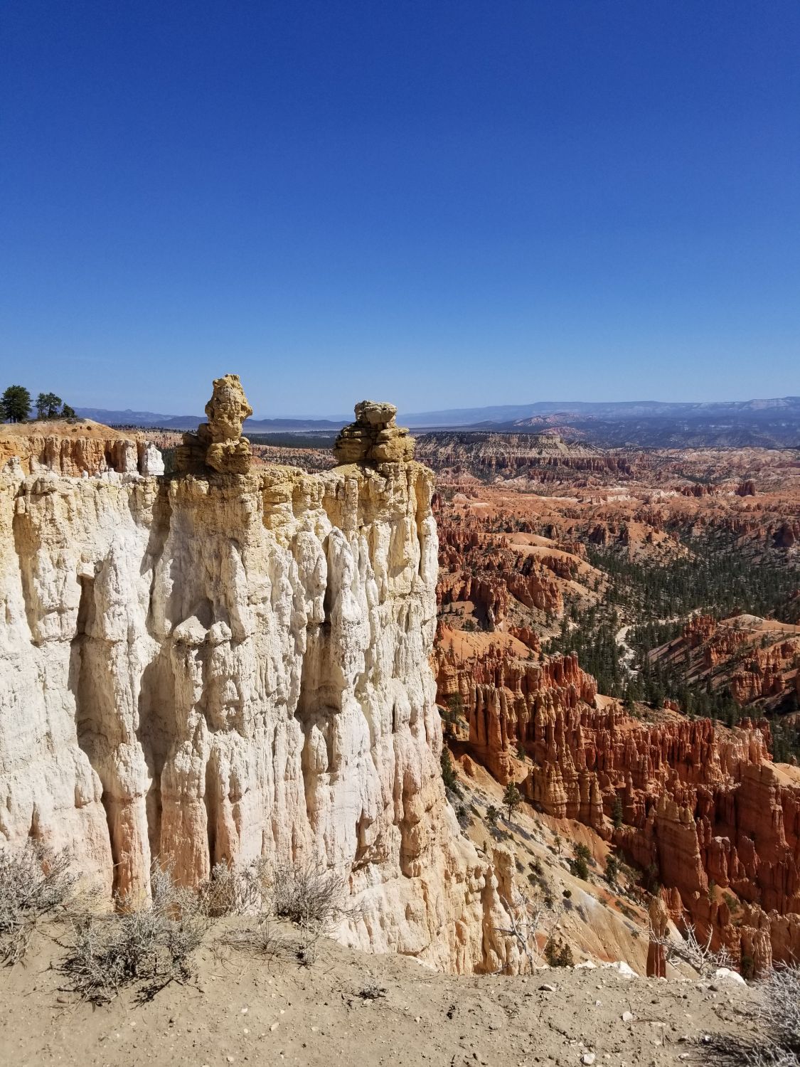 Bryce Point to Inspiration Point 